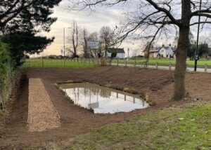restored village pond